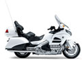 gold wing