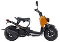 ZOOMER